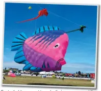  ??  ?? Fantastic kites are set to make their appearance at the fourth Eden Kite Festival in Sedgefield and George.