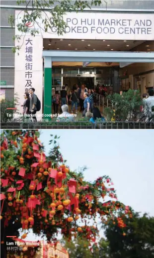  ??  ?? Tai Po Hui market and cooked food centre 大埔墟街市及熟食市場 Lam Tsuen Wishing Tree 林村許願樹
