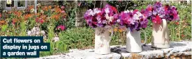  ?? ?? Cut flowers on display in jugs on a garden wall