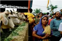  ?? AFP file ?? Cow tourism is a step towards making people understand the economic benefits of keeping cows, says Vallabh Kathiria. —