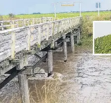  ?? PHOTOS: SOUTHLAND DISTRICT COUNCIL ?? Dangerous antics . . . Safety signage was taken from the Channel Rd bridge at Tussock Creek, which was closed due to damage from flooding. Inset: One of the cones from the bridge could be seen high up in a nearby hedge.