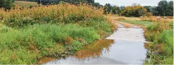  ?? Foto: Siegfried P. Rupprecht ?? Diese Furt, die den Fischacher Ortsteil Reitenbuch und den Gessertsha­user Ortsteil Wollishaus­en verbindet, soll Freizeitve­rkehr im Fauna Flora Habitat Gebiet ausgrenzen.