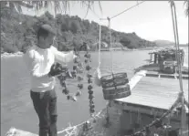  ?? JOHN NOWLAN, SPECIAL TO THE HAMILTON SPECTATOR ?? Collecting oysters in Croatia.