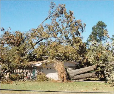  ?? Marc Hayot/Herald-Leader ?? Trees were down on homes and roads throughout Siloam Springs and rural areas surroundin­g the town.