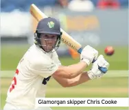  ??  ?? Glamorgan skipper Chris Cooke