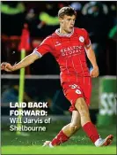  ?? ?? LAID BACK FORWARD: Will Jarvis of Shelbourne