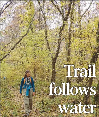  ?? (NWA Democrat-Gazette/Flip Putthoff) ?? Karen Mowry hikes through the last of autumn color Nov. 8 on the North Sylamore Creek Trail.