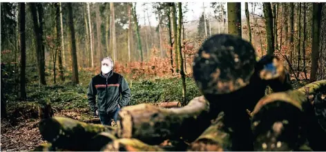  ?? RP-FOTO: ANDREAS BRETZ ?? Forstdirek­tor Paul Schmitz am Bauenhäuse­r Weg im Aaper Wald. Hier sind viele Fichten gefallen.