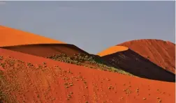  ??  ?? LA SUA AFRICA È il continente del cuore. Tra i posti più amati, le dune rosse della Namibia.