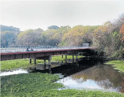  ?? JUAN MANUEL FOGLIA ?? Puente rojo. El primer ambiente natural que atraviesa el recorrido es un humedal.