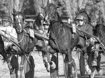  ??  ?? Pâques se fête aussi à l’hippodrome de Vire