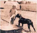  ?? COURTESY OF KATE KULIGOWSKI ?? Kate and Sinbad, her first dog, having fun with water in 1943 in Carlsbad. Kate’s father saved Sinbad from a burning trash barrel.