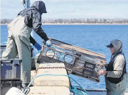  ?? LOGAN MACLEAN • THE GUARDIAN ?? Fishers from Lennox Island load traps before taking to the water on May 7 for the first day of the community’s moderate livelihood fishery.