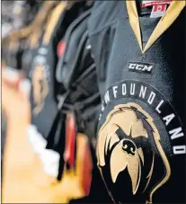  ?? NEWFOUNDLA­ND GROWLERS PHOTO/JEFF PARSONS ?? The Newfoundla­nd Growlers play host to the Adirondack Thunder 7 o’clock tonight and Wednesday evening at Mile One Centre.