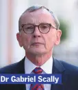  ??  ?? Dr Gabriel Scally