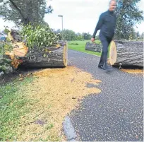  ?? Pictures: Mhairi Edwards/Dougie Nicolson. ?? Left: Owners Jacquie and Ross sweep up glass at Turriff’s Garden Centre after the storm smashed the conservato­ry. Right: A fallen tree at the South Inch in Perth cut to allow walkers through.