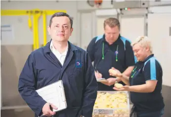  ?? Picture: TONY PHILLIPS ?? ROLE MODELS: Assessing chick quality at the Darwalla hatchery are Juan Corredor, Deniss Scerbatovs and Aleksandra Scerbatova.