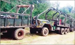  ?? SUPPLIED ?? Trucks driven by Vietnamese timber transporte­rs that were seized by authoritie­s in Mondulkiri province in March. The bust set of an investigat­ion into authoritie­s’ alleged collusion in the trade.