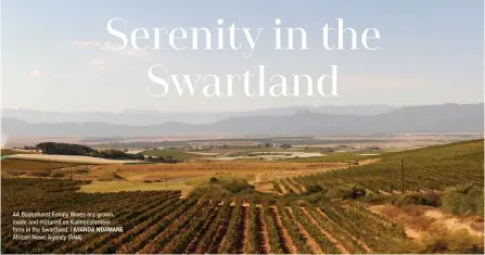  ?? | AYANDA NDAMANE
African News Agency (ANA) ?? AA Badenhorst Family Wines are grown, made and matured on Kalmoesfon­tein farm in the Swartland.
