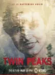  ??  ?? Even though this
Twin Peaks has been billed as a limited series, MacLachlan said “I think the chances are good” when he was asked if more episodes might follow the first 18.
“Whether David Lynch and Mark Frost feel compelled to write them, I don’t...