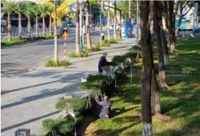  ?? Nguyễn Thành
VNA/VNS Photo ?? Workers take care of trees in Phan Rang City, in the southern province of Phan Thiết.