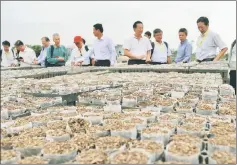  ??  ?? Delegation from STA Plantation Forest Committee taking a closer look at the pre-packed soil texture bags for planting tree seedlings during a study tour to Southern China recently.