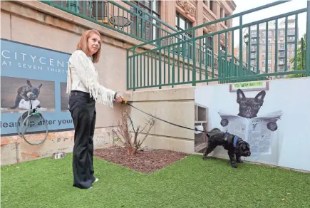  ?? MIKE DE SISTI / MILWAUKEE JOURNAL SENTINEL ?? Jamey Morgan, owner of Concorde Step Source in CityCenter@735, takes her dog, Skyler, a 4-year-old cockapoo, for a bathroom break Tuesday outside her office. The historic downtown office building, at 735 N. Water St., has a dog area outside and other unusual features to compete with newer office towers.