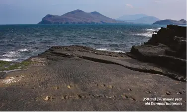  ??  ?? 350 and 370 million year old Tetrapod footprints