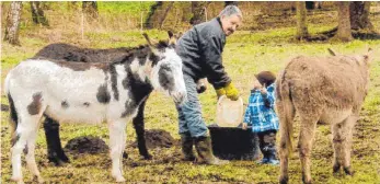  ?? FOTO: PRIVAT ?? Bei Kindern sind Esel natürlich besonders beliebt. Bei dem gefleckten Esel handelt sich um ein Pflegetier, das Max Wiest aufgepäppe­lt hat.