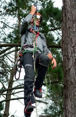  ??  ?? Up he goes….Mark Chisholm takes his time with this climb, but he holds a world record for tree climbing.