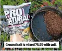  ??  ?? Groundbait is mixed 75:25 with soil.