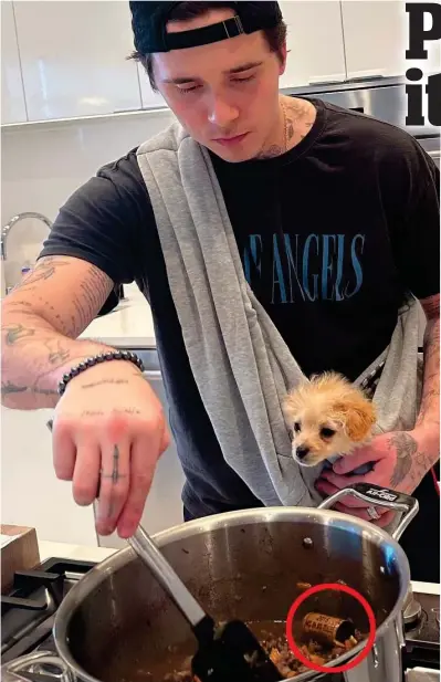  ?? ?? Barking: Brooklyn whips up bolognese sauce, with a hint of cork, circled, and a furry helper