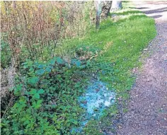  ??  ?? Toilet waste dumped at Bishop Wood, Strathkinn­ess.