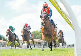  ?? Photo / Race Images ?? More Wonder tackles the Gr.1 Harcourts Thorndon Mile at Trentham today.