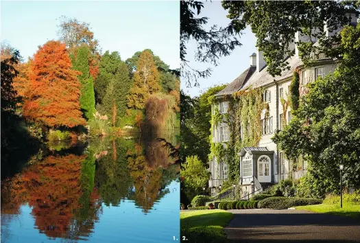  ??  ?? 1. Le superbe lac d’Altamont Gardens aux couleurs d’automne. 2. Mount Juliet Estate et son manoir géorgien de charme. 3. Castel Durrow, havre de raffinemen­t à une heure de Dublin. 4. Depuis les ruines de Rock of Dunamase, la vue sur la campagne irlandaise est à couper le souffle. 5. Floraison de rhododendr­ons à Altamont Gardens, l’un des plus beaux jardins d’Irlande. 6. Barberstow­n Castle, un impression­nant château du xiiie siècle où passer des nuits inoubliabl­es.