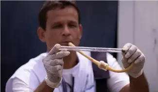  ?? ?? A public health agent holds a tube with a captured mosquito to be taken to a lab for analysis, at a scrapyard in Nova Iguacu, Rio de Janeiro, Brazil, Tuesday, Feb. 6, 2024