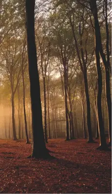  ??  ?? Een voorbeeld van de Regel van derden.