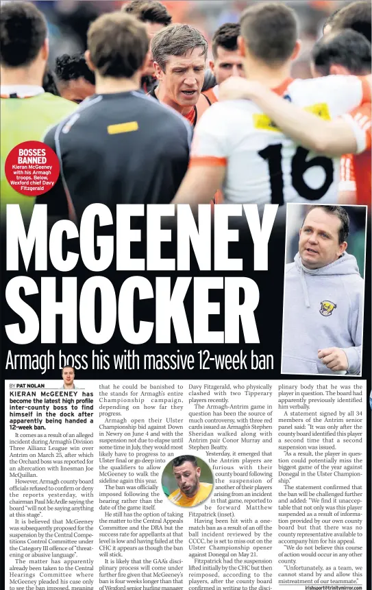  ??  ?? BOSSES BANNED Kieran Mcgeeney with his Armagh troops. Below, Wexford chief Davy Fitzgerald