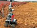  ??  ?? Robot Anche i robot nei campi e fra i filari aiutano la nuova agricoltua