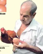  ?? MARVIN GAMBOA. ?? La gallina puriscaleñ­a se mandó con este semejante ejemplar. Carlos Luis Fernández muestra a la autora del huevote.