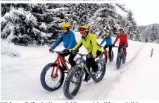  ??  ?? Mit fetten Reifen ist Mountainbi­ken auch im Winter möglich