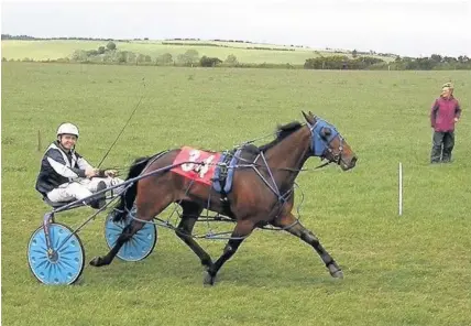  ??  ?? > George Gentle – owned, trained and driven by Zak Lewis from Welshpool – was winner of the first Grade B heat