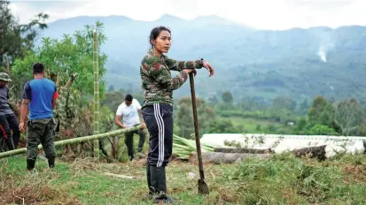  ?? FOTO ?? El avance en la construcci­ón de la infraestru­ctura en la vereda de Pueblo Nuevo, Cauca, es lento. Esta es una de las 26 zonas que según las Farc tienen retrasos.