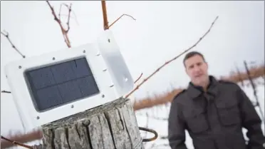  ?? TARA WALTON, THE CANADIAN PRESS ?? Matthew Speck, viticultur­ist at Henry of Pelham Estate Winery in St. Catharines, stands behind a weather monitoring device in the winery’s vineyard.