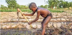  ?? FOTO: DPA ?? Viele Minderjähr­ige arbeiten im Steinbruch und verkaufen die Steine.