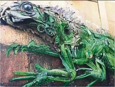  ??  ?? The San Nicolas district in Aruba features many colourful murals and 3D sculptures such as this iguana piece by Portuguese artist, Bordalo II. — Photos: Aruba Tourism Authority/TNS