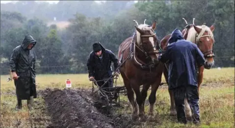  ??  ?? Hard at work in the wet.