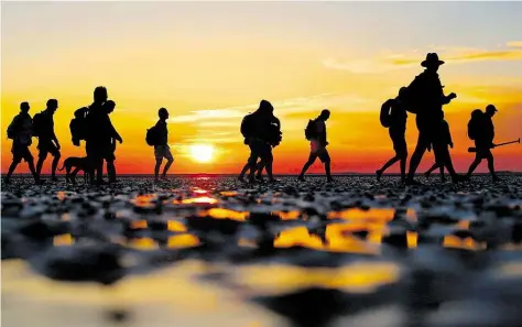  ?? DPA-BILD: CHASISIUS ?? Weltnature­rbe Wattenmeer: eine Gruppe Wattwander­er bei einer „Vollmond-Wattwander­ung"