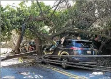  ?? LESLIE KROWCHENKO – DIGITAL FIRST MEDIA ?? A tree fell on two vehicles on Providence Road in Nether Providence during Friday’s ferocious Nor’easter.