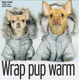  ??  ?? PAW THAW Coats can beat freeze